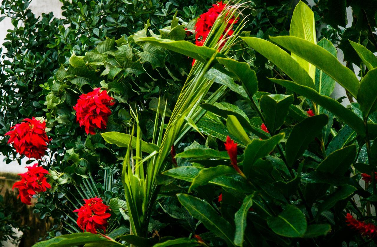 Pousada Raio De Sol São João Batista do Glória Esterno foto